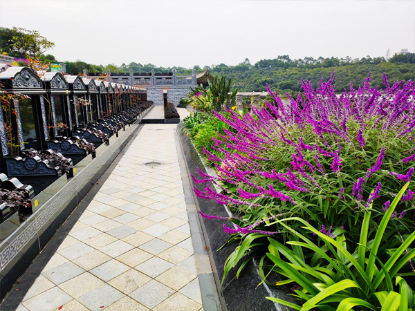 近期又有客户咨询问成都公墓的使用年限是多少年？