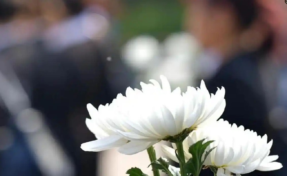 2025年成都公墓清明节祭祀指南